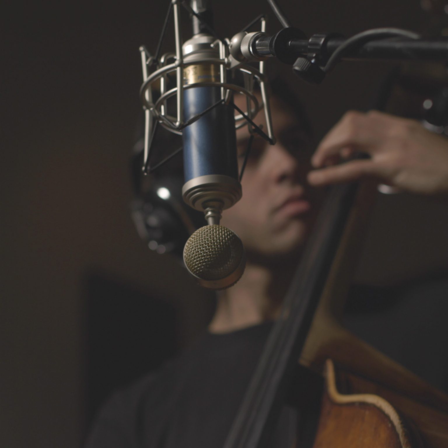 mic bluebird sl 1