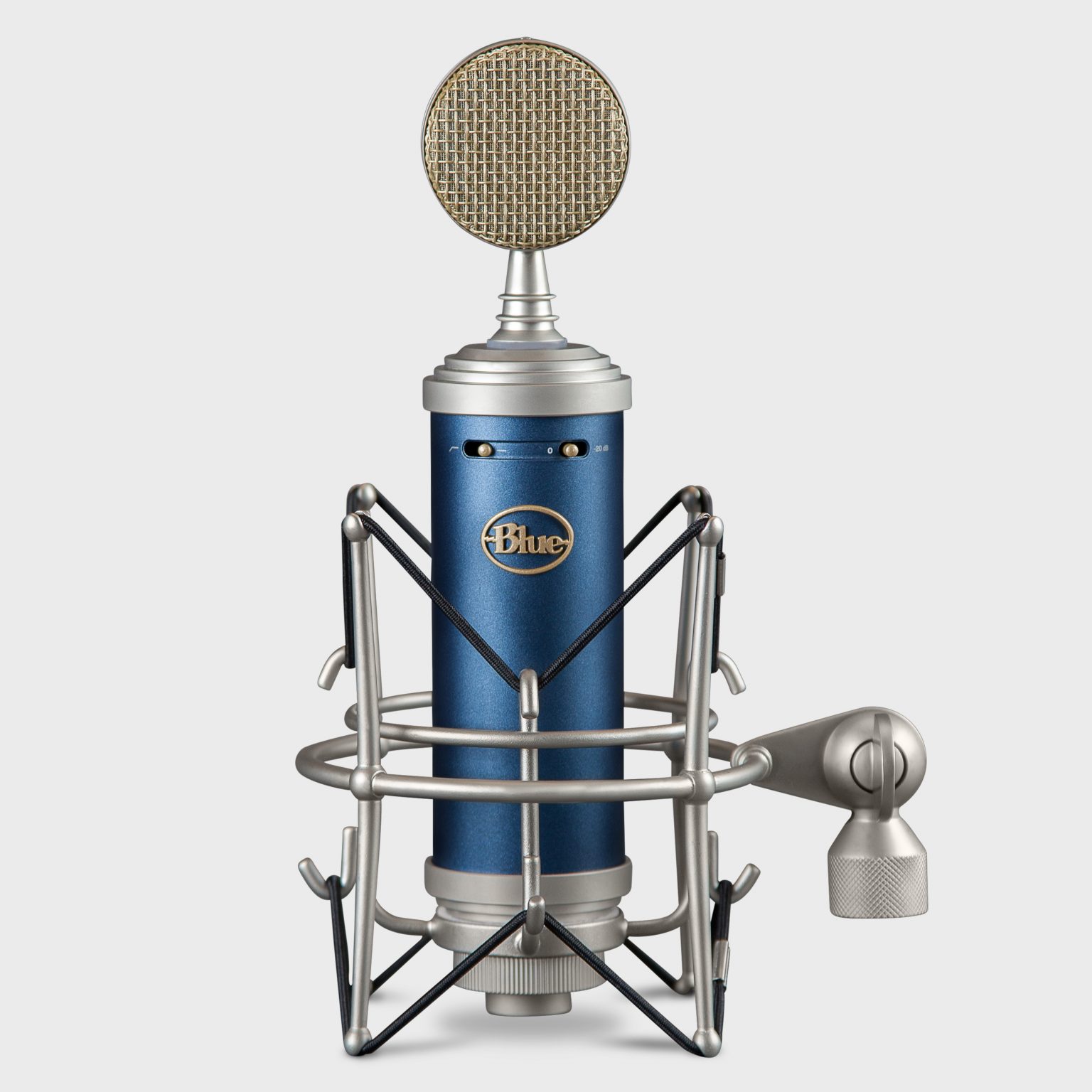 mic bluebird
