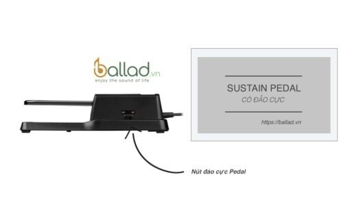 Sustain Pedal có đảo cực TB-005