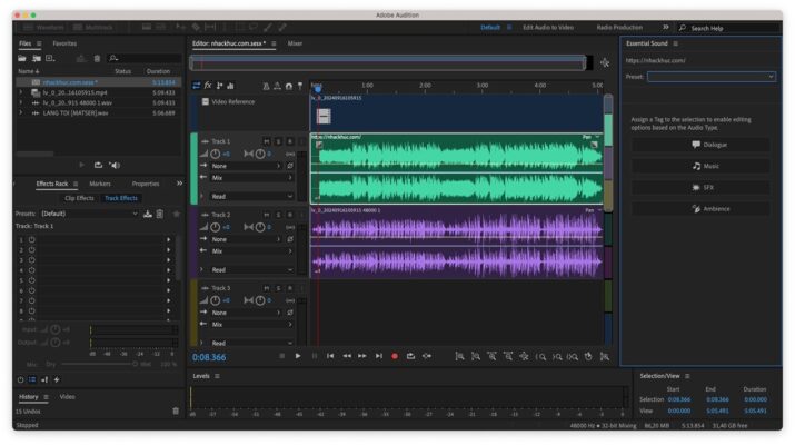 Adobe Audition 2024