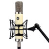 Warm Audio WA-251 Tube Warm Audio WA-251 Tube Condenser Microphone