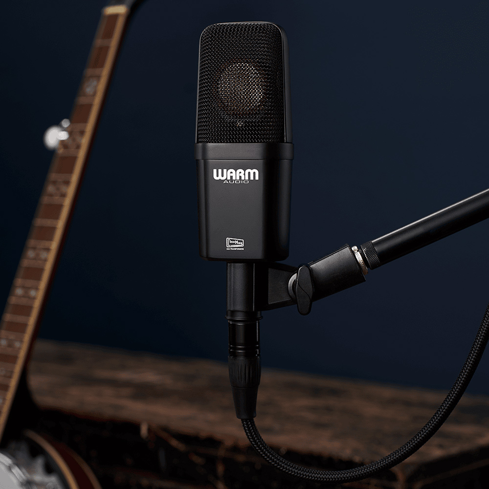 Warm Audio WA-14 Warm Audio WA-14 Condenser Microphone